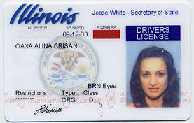 Alina License