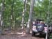 CampJeep2004CU_ForestTrailI