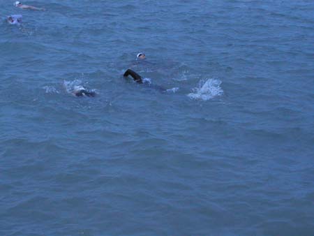 ChicagoTriathlon2004D_TammySwimming4