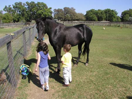 Florida2004_DQ_SydneyAndAvynLookingAtHorse