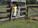 Florida2004_EN_KidsOnFenceMeetingHorses